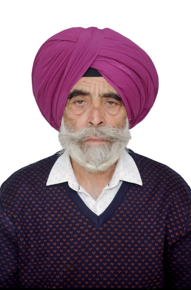 Vice President